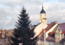 Weihnachtsbaum hält Einzug auf unserem Marktplatz