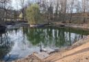 Sanierung des Inselteichs in Heynitz erfolgreich abgeschlossen