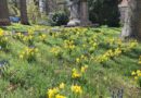 Farbtupfer im Bismarckpark