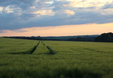 Abendstimmung am Fuße der Radewitzer Höhe