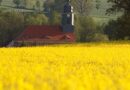 Farbenspiel um Wendischbora